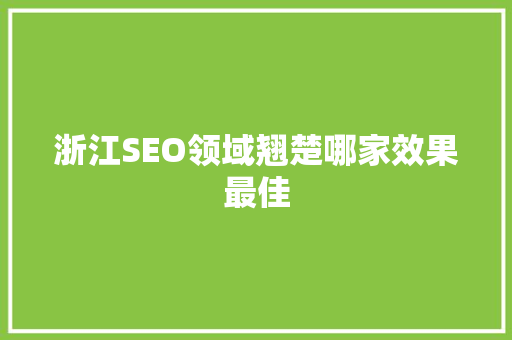 浙江SEO领域翘楚哪家效果最佳