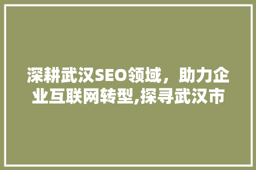 深耕武汉SEO领域，助力企业互联网转型,探寻武汉市优秀SEO公司的奥秘