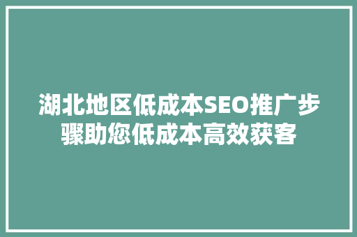 湖北地区低成本SEO推广步骤助您低成本高效获客