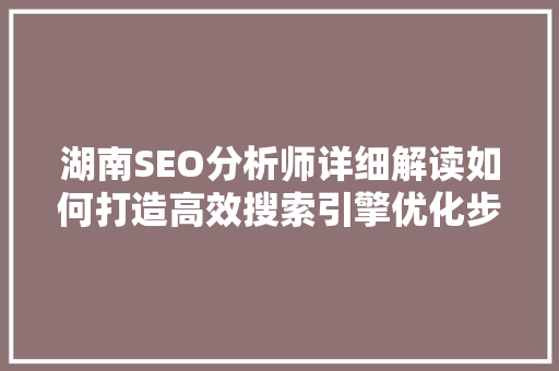 湖南SEO分析师详细解读如何打造高效搜索引擎优化步骤