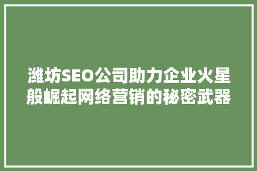 潍坊SEO公司助力企业火星般崛起网络营销的秘密武器