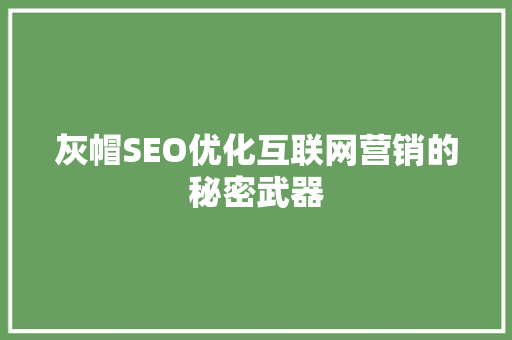 灰帽SEO优化互联网营销的秘密武器