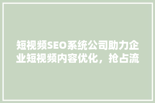 短视频SEO系统公司助力企业短视频内容优化，抢占流量高地