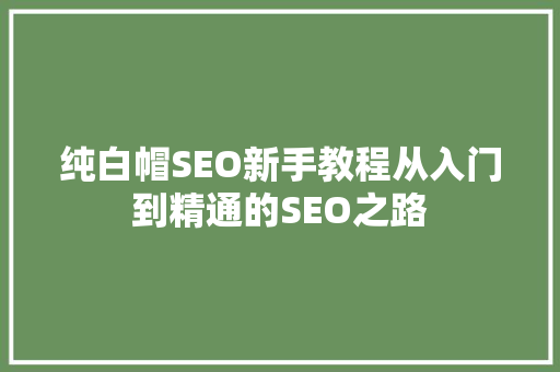 纯白帽SEO新手教程从入门到精通的SEO之路