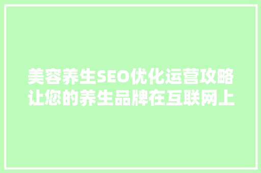 美容养生SEO优化运营攻略让您的养生品牌在互联网上绽放光彩