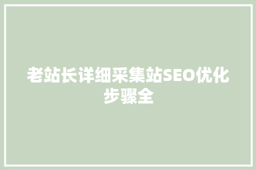 老站长详细采集站SEO优化步骤全