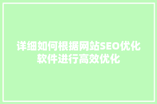 详细如何根据网站SEO优化软件进行高效优化