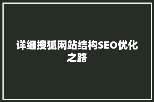详细搜狐网站结构SEO优化之路