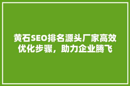 黄石SEO排名源头厂家高效优化步骤，助力企业腾飞