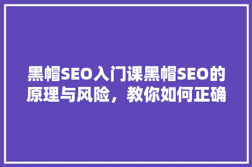 黑帽SEO入门课黑帽SEO的原理与风险，教你如何正确运用