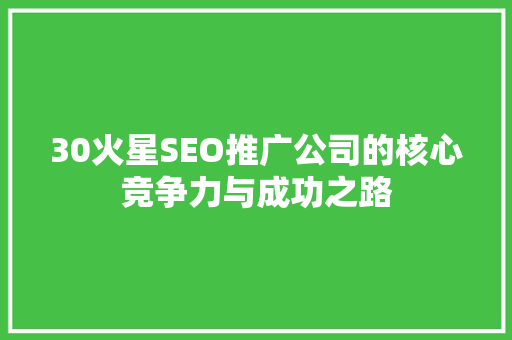 30火星SEO推广公司的核心竞争力与成功之路