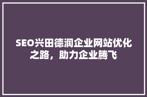 SEO兴田德润企业网站优化之路，助力企业腾飞