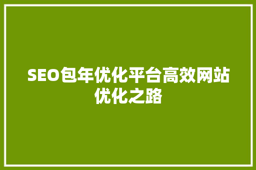 SEO包年优化平台高效网站优化之路
