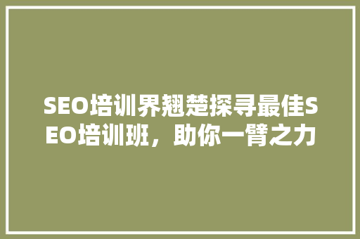 SEO培训界翘楚探寻最佳SEO培训班，助你一臂之力