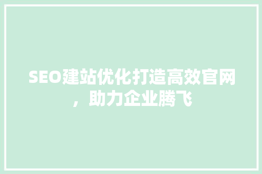 SEO建站优化打造高效官网，助力企业腾飞