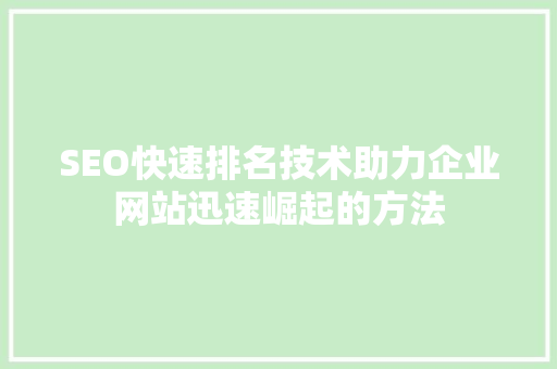 SEO快速排名技术助力企业网站迅速崛起的方法
