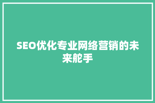 SEO优化专业网络营销的未来舵手