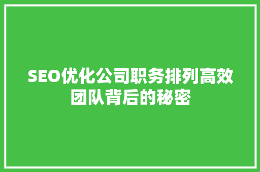 SEO优化公司职务排列高效团队背后的秘密