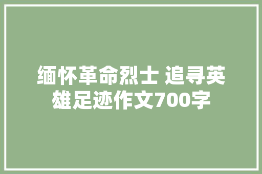 C语言登录界面设计技术实现与用户体验探索