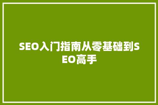 SEO入门指南从零基础到SEO高手