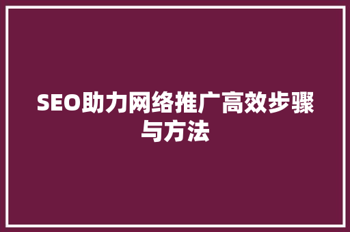 SEO助力网络推广高效步骤与方法