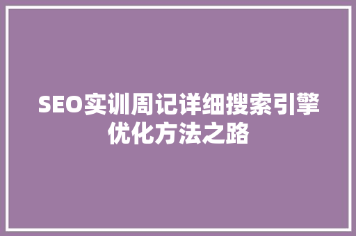 SEO实训周记详细搜索引擎优化方法之路