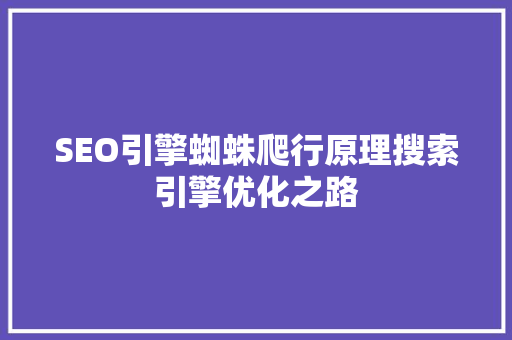 SEO引擎蜘蛛爬行原理搜索引擎优化之路