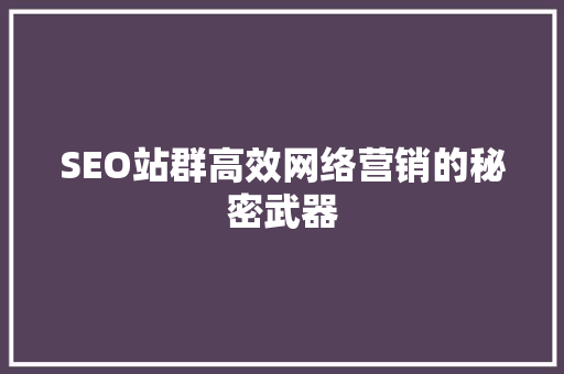 SEO站群高效网络营销的秘密武器