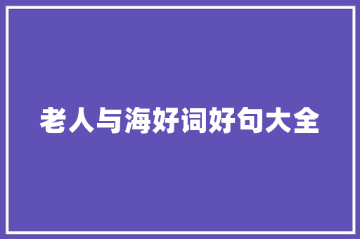 Flash动画的辉煌与传承技术革新与创意无限
