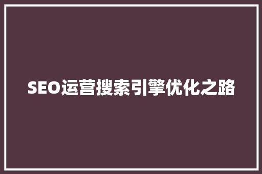 SEO运营搜索引擎优化之路