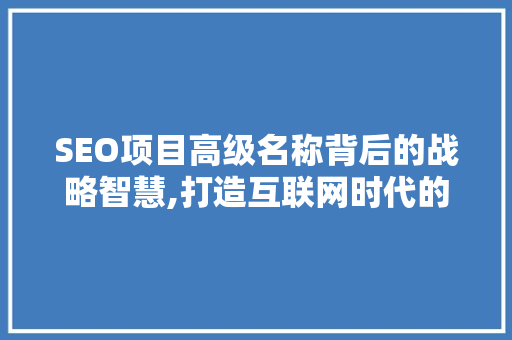 SEO项目高级名称背后的战略智慧,打造互联网时代的高效营销之路
