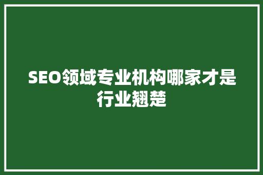 SEO领域专业机构哪家才是行业翘楚