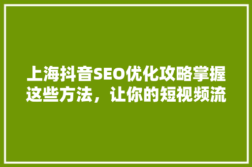 上海抖音SEO优化攻略掌握这些方法，让你的短视频流量翻倍