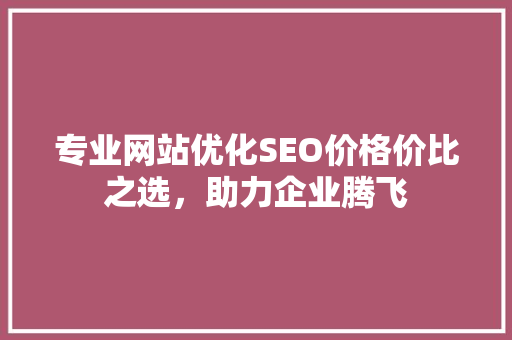 专业网站优化SEO价格价比之选，助力企业腾飞