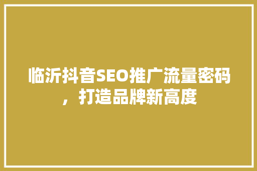 临沂抖音SEO推广流量密码，打造品牌新高度