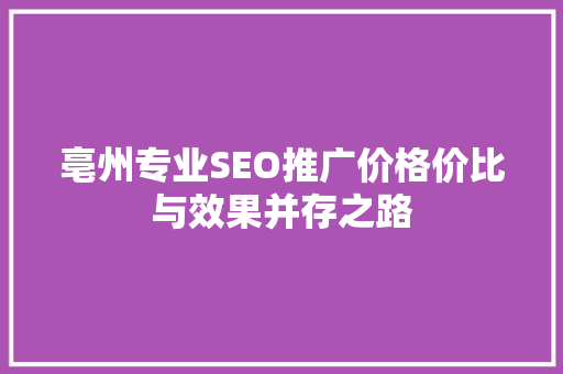 亳州专业SEO推广价格价比与效果并存之路