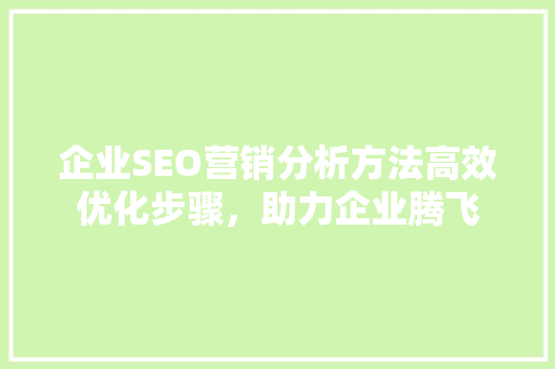 企业SEO营销分析方法高效优化步骤，助力企业腾飞
