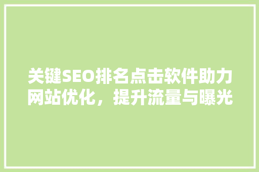 关键SEO排名点击软件助力网站优化，提升流量与曝光  第1张