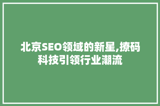 北京SEO领域的新星,撩码科技引领行业潮流