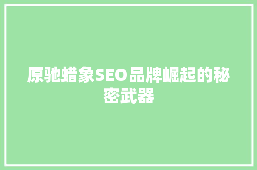原驰蜡象SEO品牌崛起的秘密武器