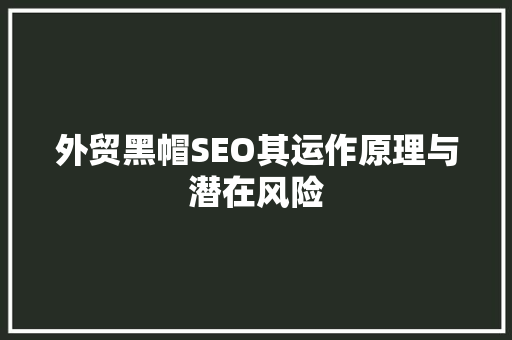 外贸黑帽SEO其运作原理与潜在风险