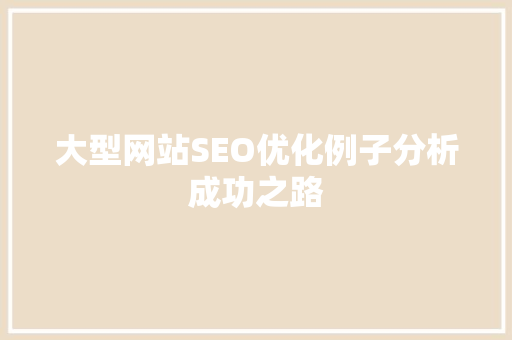 大型网站SEO优化例子分析成功之路