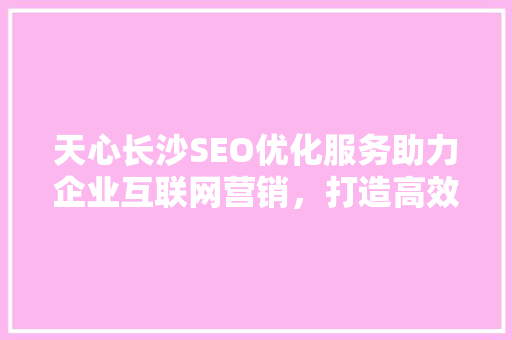 天心长沙SEO优化服务助力企业互联网营销，打造高效网络品牌