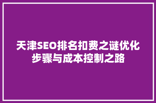 天津SEO排名扣费之谜优化步骤与成本控制之路
