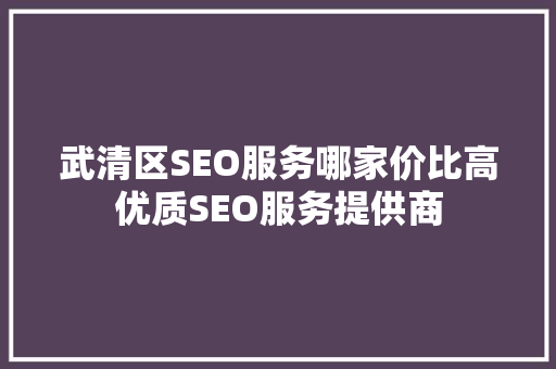 武清区SEO服务哪家价比高优质SEO服务提供商