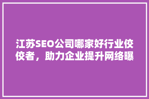 江苏SEO公司哪家好行业佼佼者，助力企业提升网络曝光度