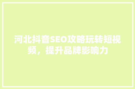 河北抖音SEO攻略玩转短视频，提升品牌影响力