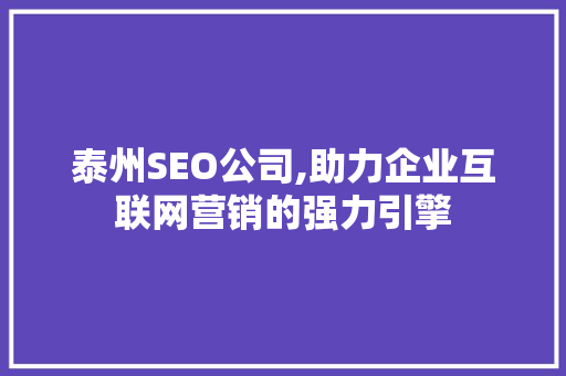 泰州SEO公司,助力企业互联网营销的强力引擎