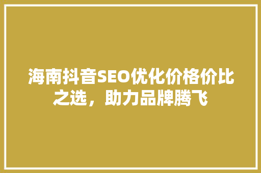 海南抖音SEO优化价格价比之选，助力品牌腾飞