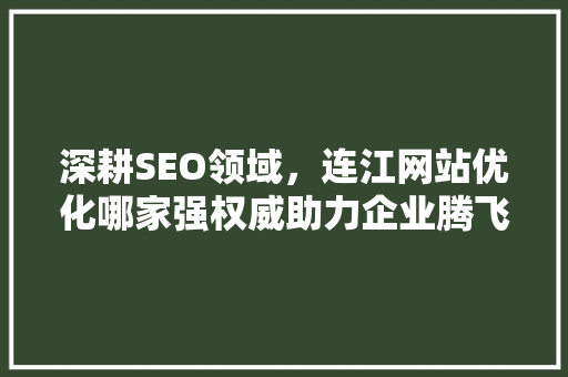 深耕SEO领域，连江网站优化哪家强权威助力企业腾飞